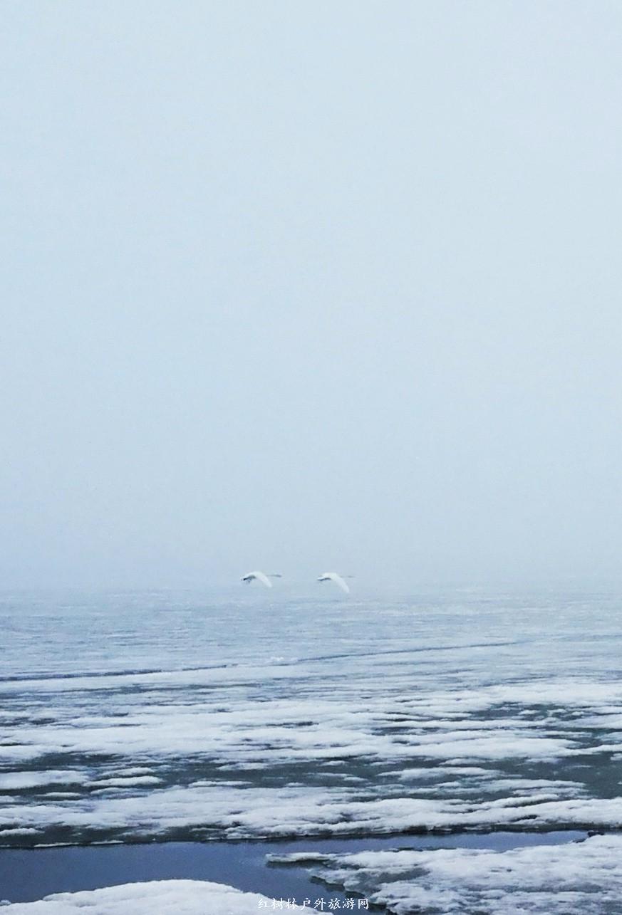 IMG_20180401_160651-01-01