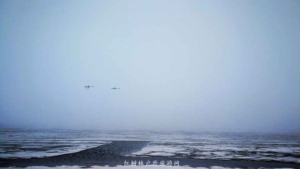 IMG_20180401_160647-01