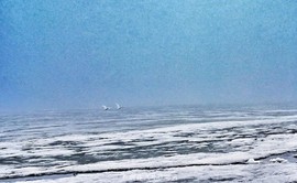 IMG_20180401_160652-01