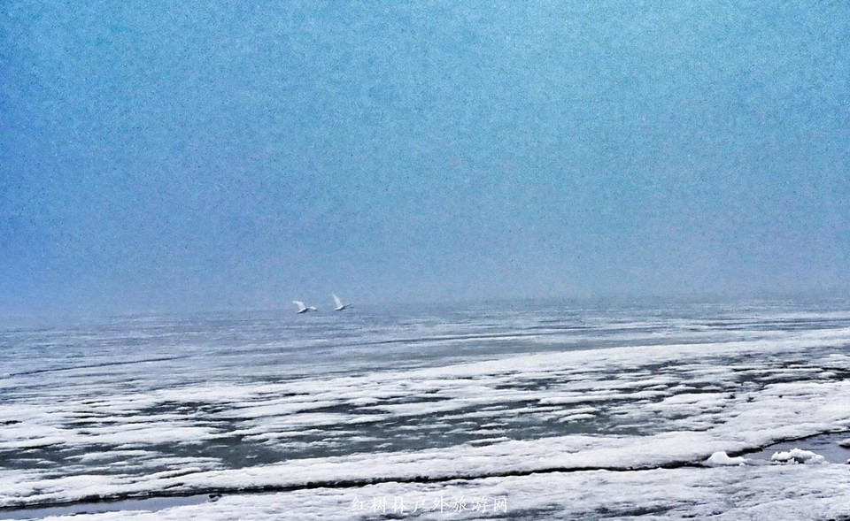 IMG_20180401_160652-01