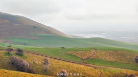 IMG_20180402_150937-01