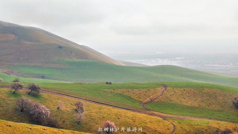 IMG_20180402_150937-01