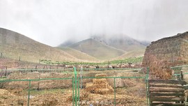 IMG_20180402_144529-01