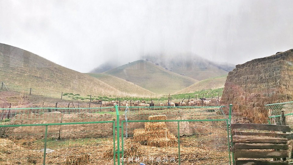 IMG_20180402_144529-01