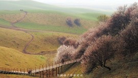 IMG_20180402_150902-01