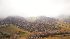 IMG_20180402_154506-01