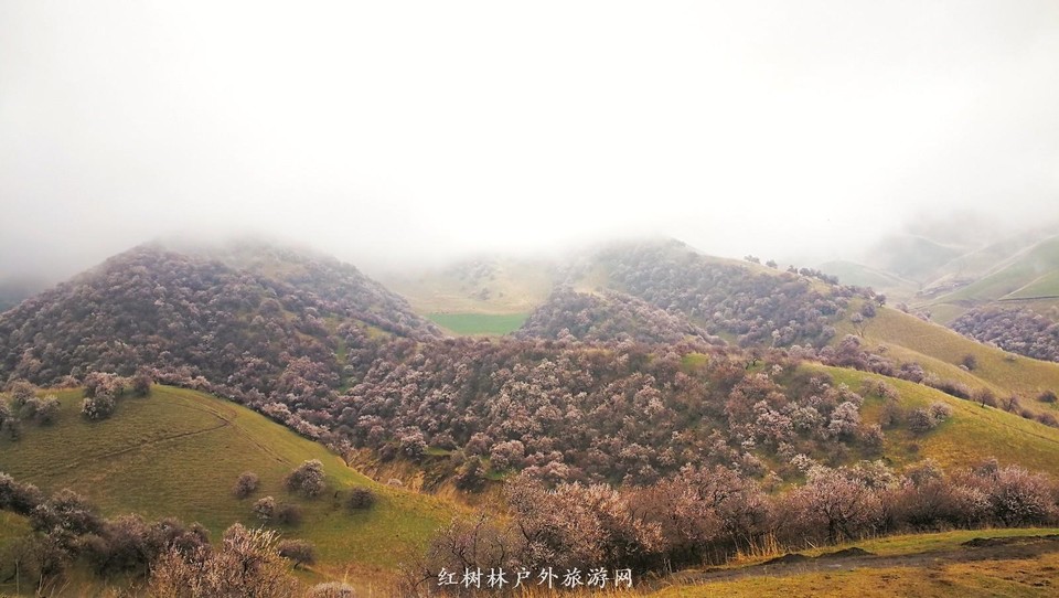 IMG_20180402_154506-01