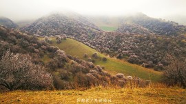 IMG_20180402_151630-01