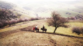 IMG_20180402_154557-01