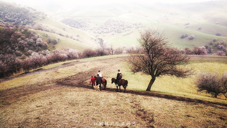 IMG_20180402_154557-01