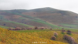 IMG_20180402_151107-01