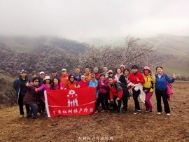 mmexport1522671378271-01