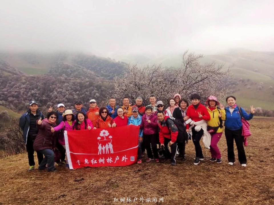 mmexport1522671378271-01