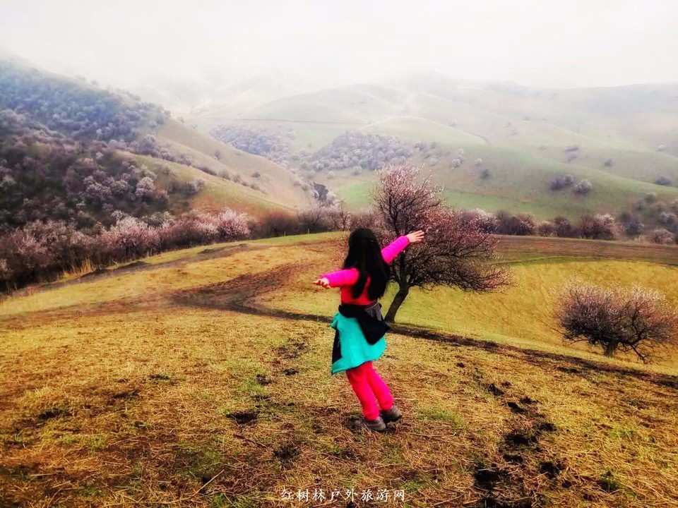 mmexport1522671409797-01