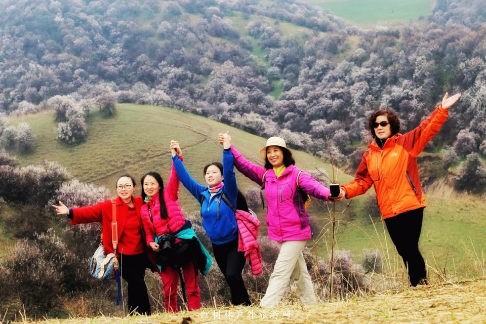 mmexport1522686155547-01