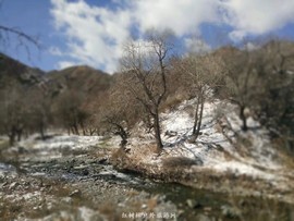 mmexport1522860711940