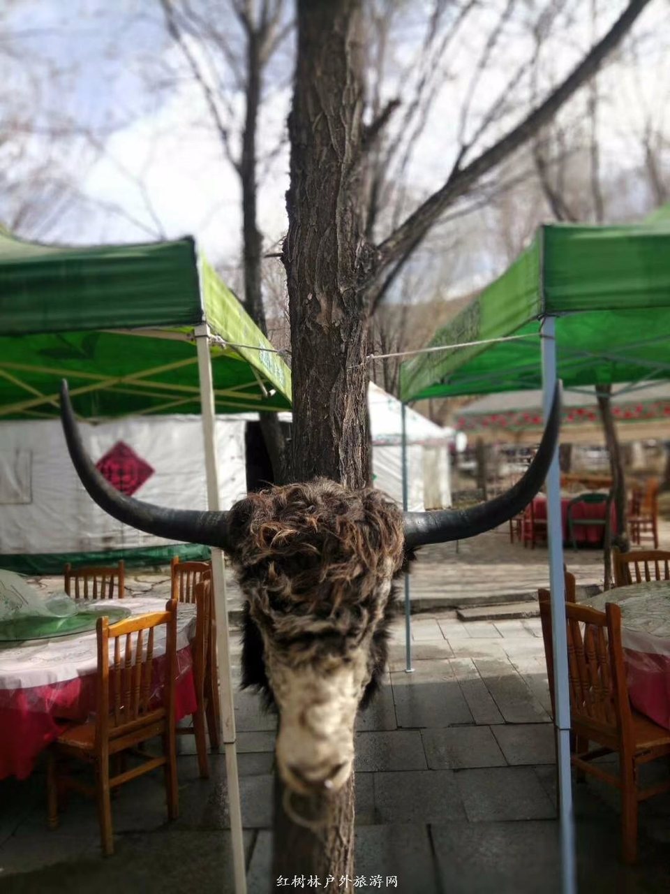 mmexport1522860699351