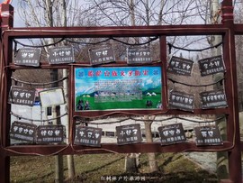 mmexport1522860689991