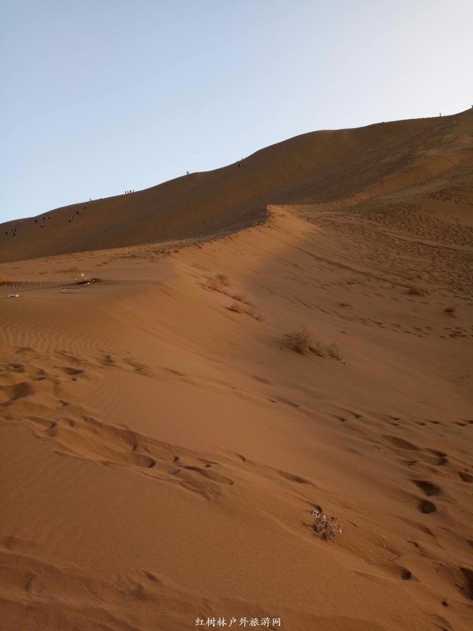 mmexport1522945673980