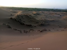 mmexport1522945676474