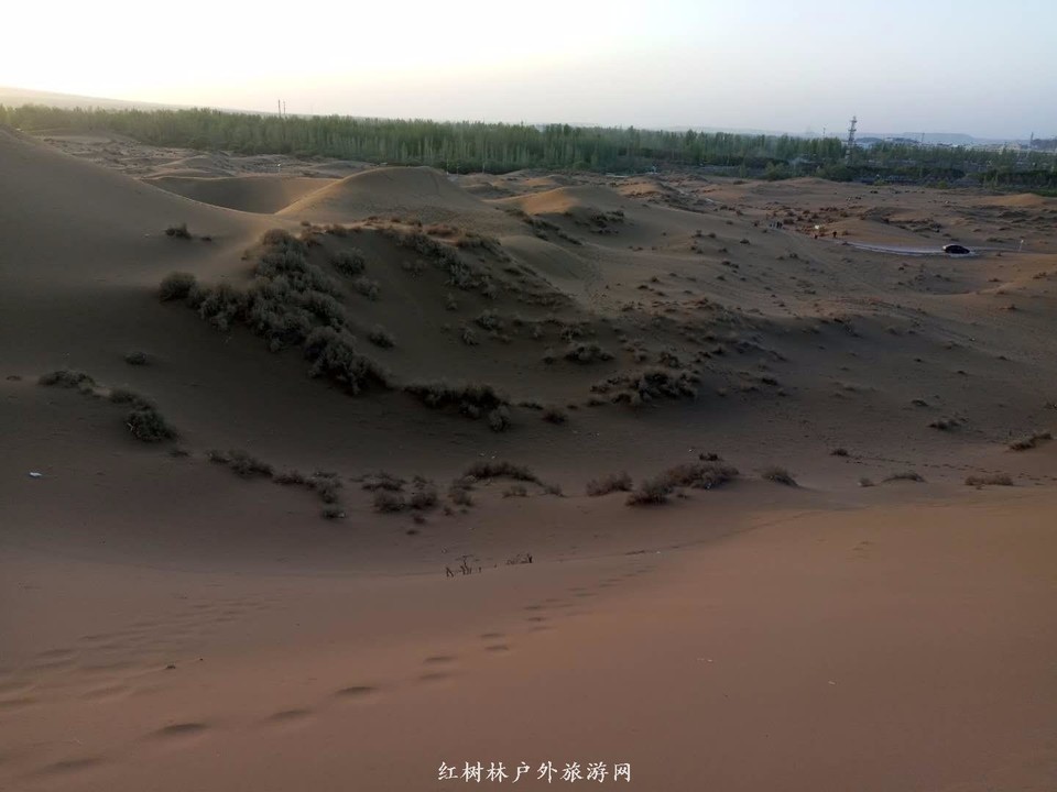 mmexport1522945676474