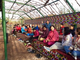 mmexport1523033299985