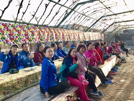 mmexport1523033289323