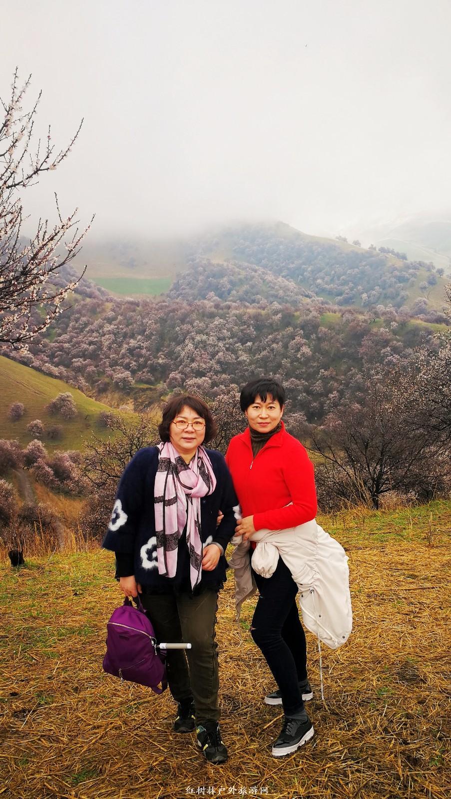 IMG_20180402_152346-01