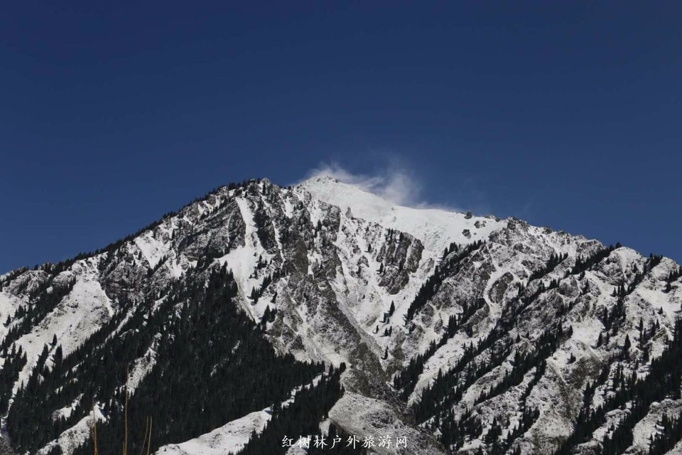 mmexport1523073135559