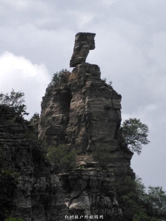 QQ图片20180310223400