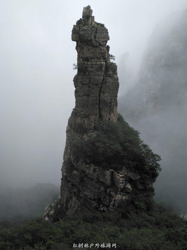 QQ图片20180310223409