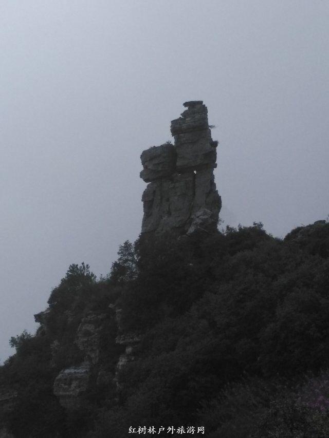 QQ图片20180310223423