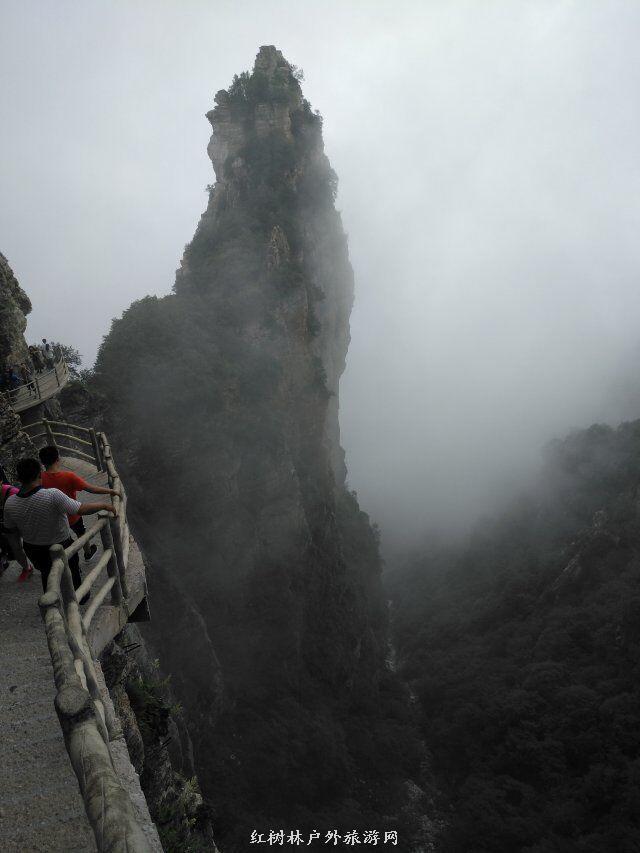 QQ图片20180310224011