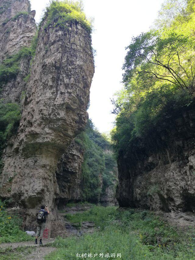 QQ图片20180310224135