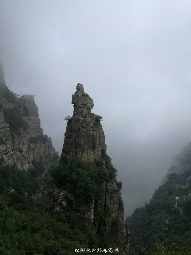 QQ图片20180310224145