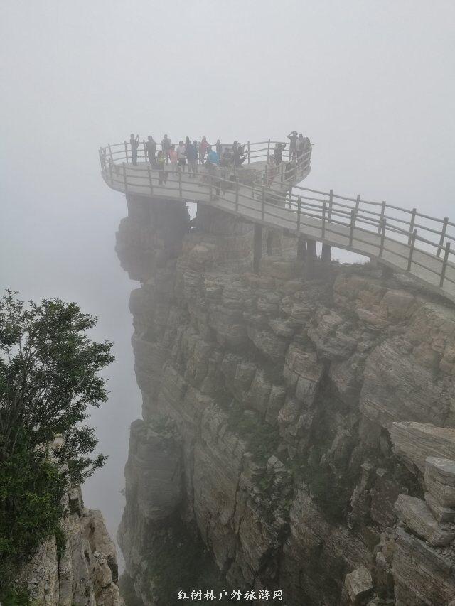 QQ图片20180310224206