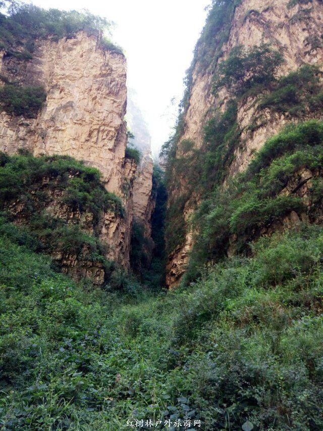 QQ图片20180310224313