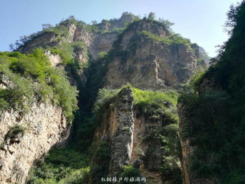 QQ图片20180310224757