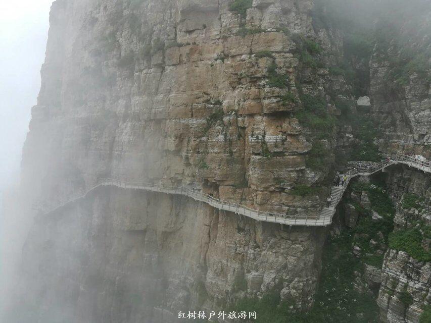 QQ图片20180310224946