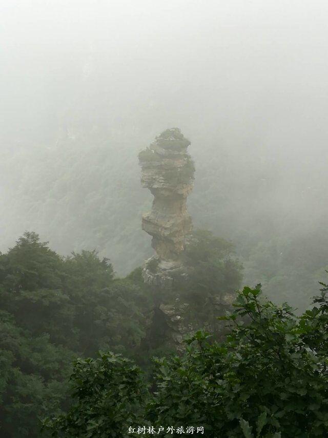 QQ图片20180310224955