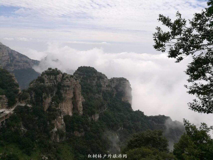 QQ图片20180310225103