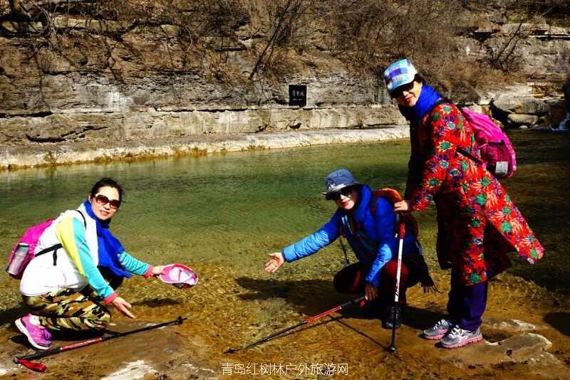 mmexport1488200808062