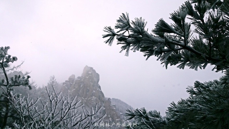 20170326_115407_mh1490513205489