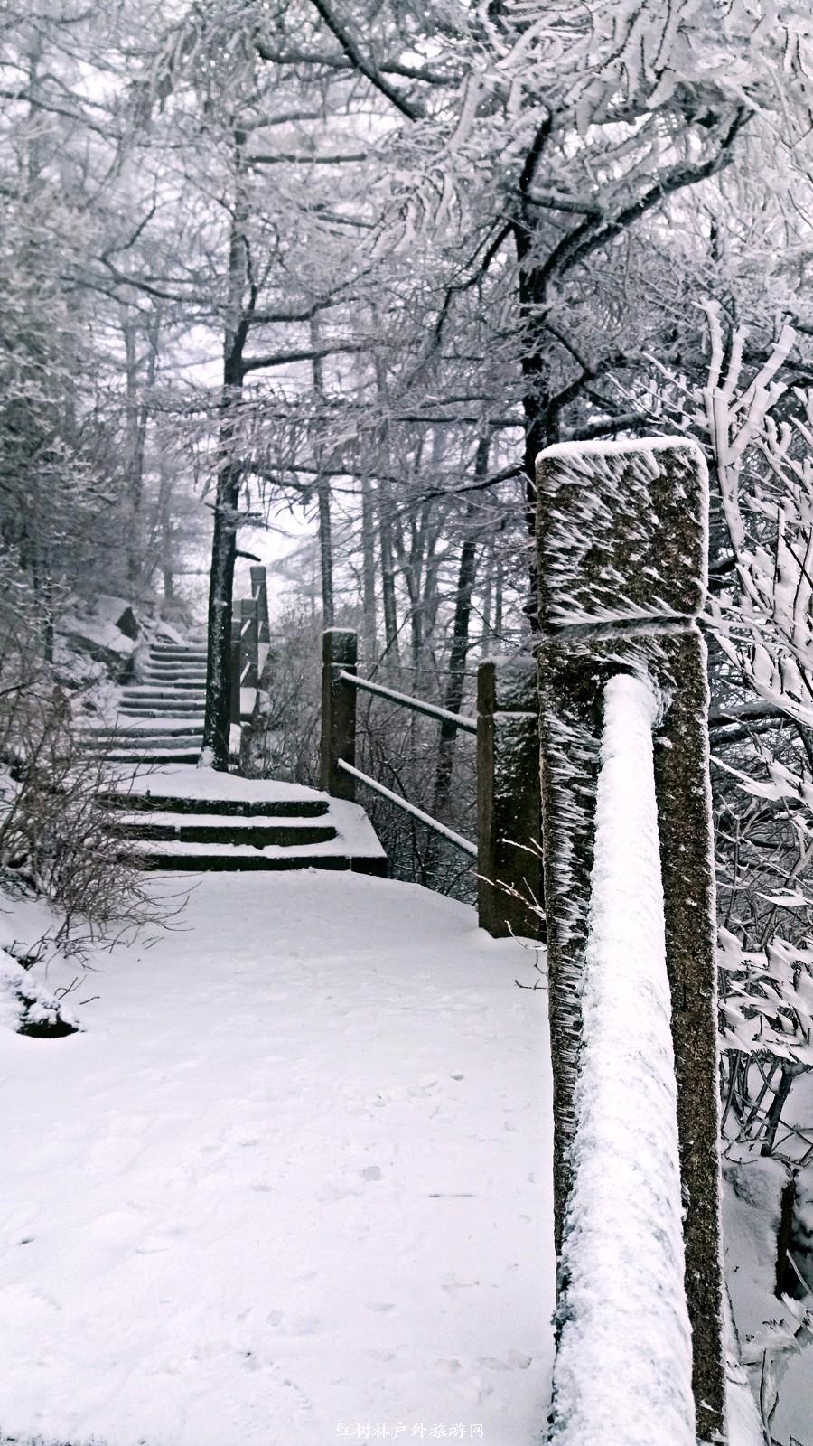 20170326_115152_mh1490513126608