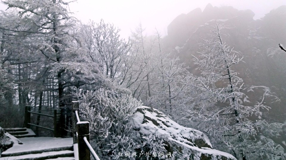 20170326_115138_mh1490513107243