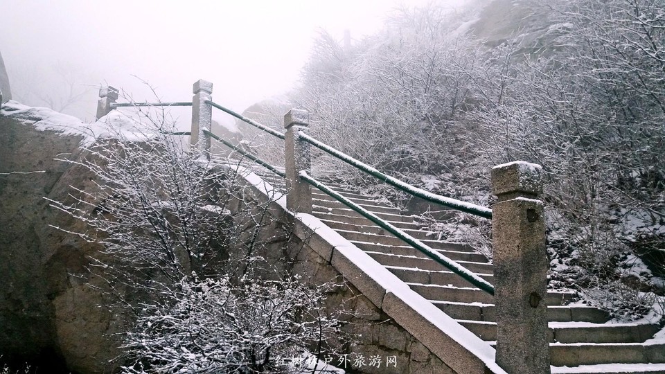 20170326_112745_mh1490513009993