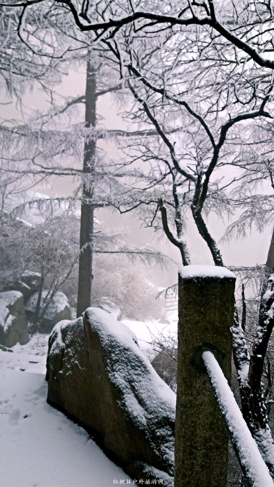 20170326_113106_mh1490512983226