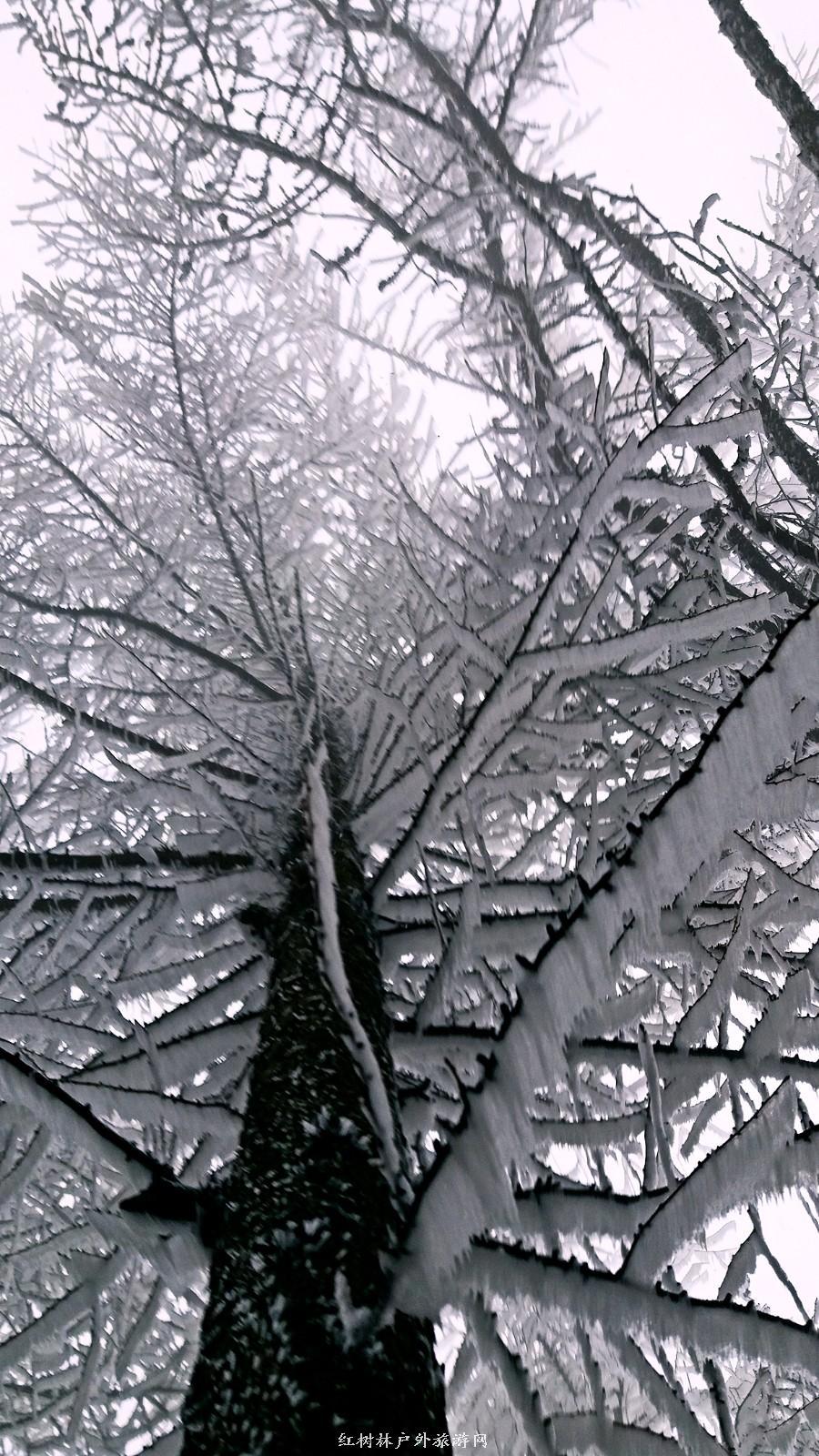 20170326_111235_mh1490512893465