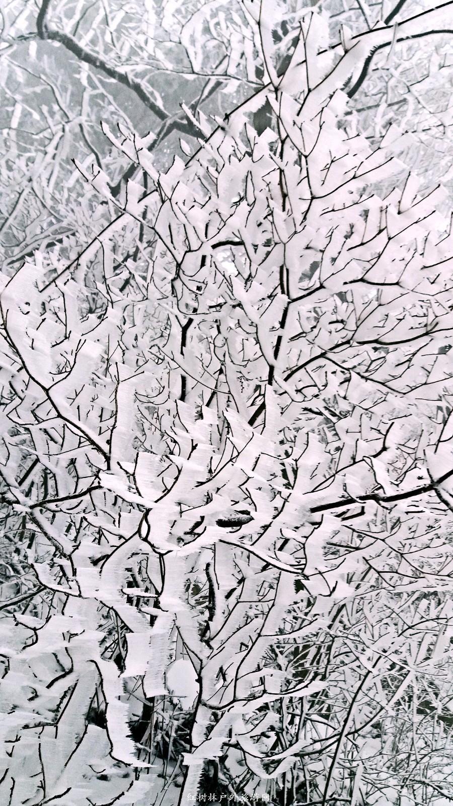 20170326_111132_mh1490512872374