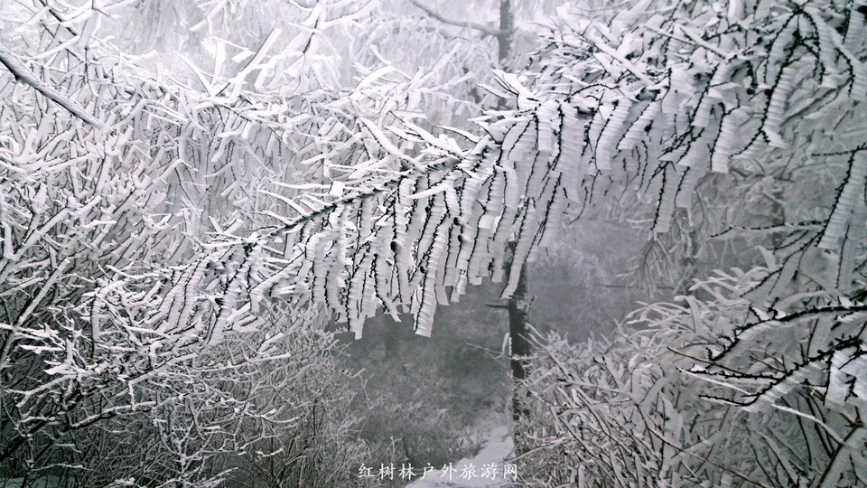 20170326_111013_mh1490512773470